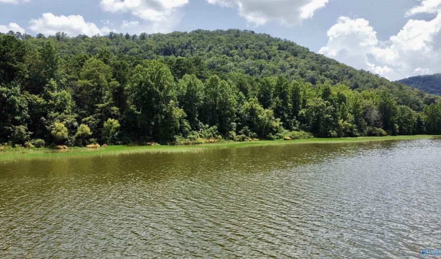 148 Acres County Road 21, Ashville, AL 35953 - 0 Beds, 0 Bath