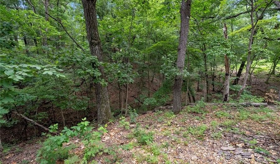 5 Inskid Ln, Bella Vista, AR 72714 - 3 Beds, 2 Bath