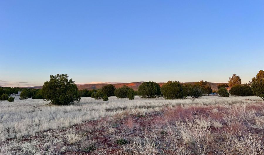 317 Forest Line Cir, Ash Fork, AZ 86320 - 0 Beds, 0 Bath