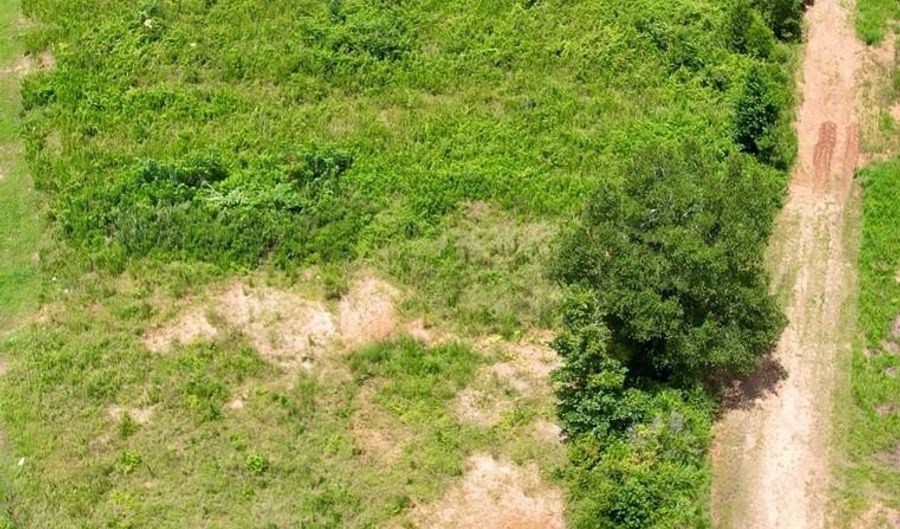 2346 Traci Loop, Bogue Chitto, MS 39629 - 0 Beds, 0 Bath