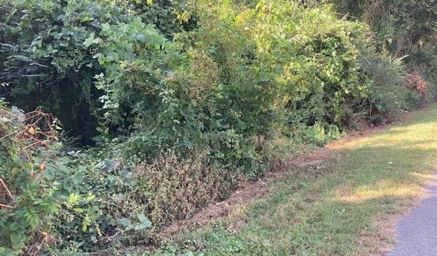 C St lot 1 & 2, Alexander City, AL 35010 - 0 Beds, 0 Bath