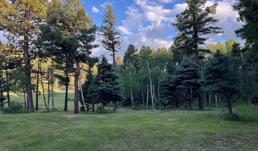 11 Vail Loop, Angel Fire, NM 87710 - 3 Beds, 2 Bath