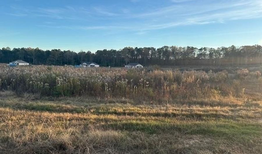 1009 Duke Dr, Bauxite, AR 72011 - 0 Beds, 0 Bath