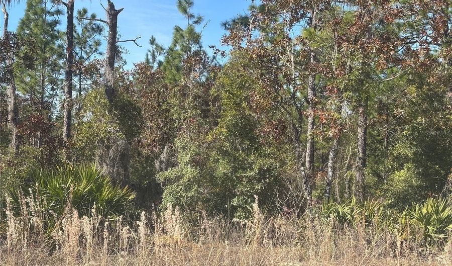 0000 NE 106TH Ct, Archer, FL 32618 - 0 Beds, 0 Bath