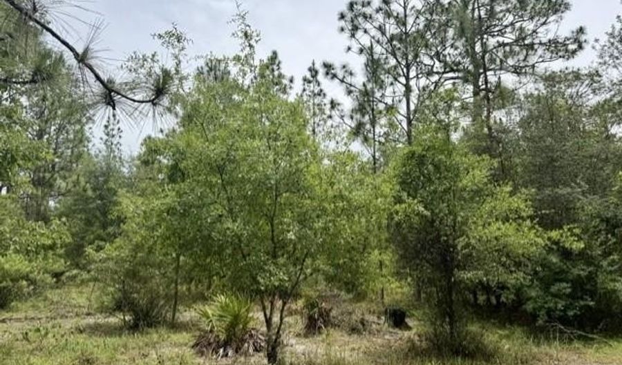 4850 NW 55th Ave, Bell, FL 32619 - 2 Beds, 1 Bath