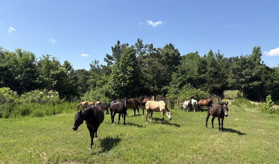 Beauty Hill Rd lot 2, Bethel Springs, TN 38315 - 0 Beds, 0 Bath