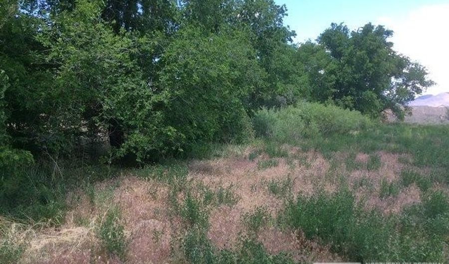 1075 Browne Ln, Fernley, NV 89408 - 0 Beds, 0 Bath