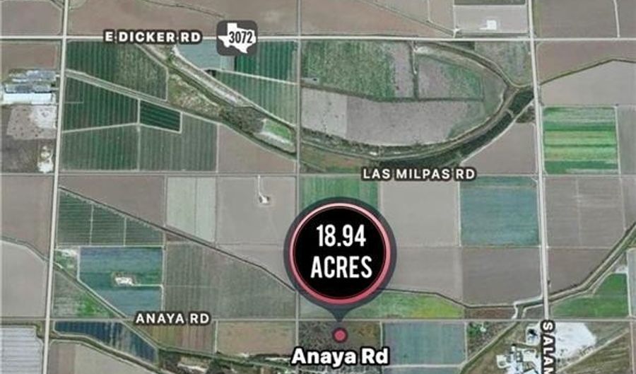 000 Anaya Rd, Alamo, TX 78516 - 0 Beds, 0 Bath