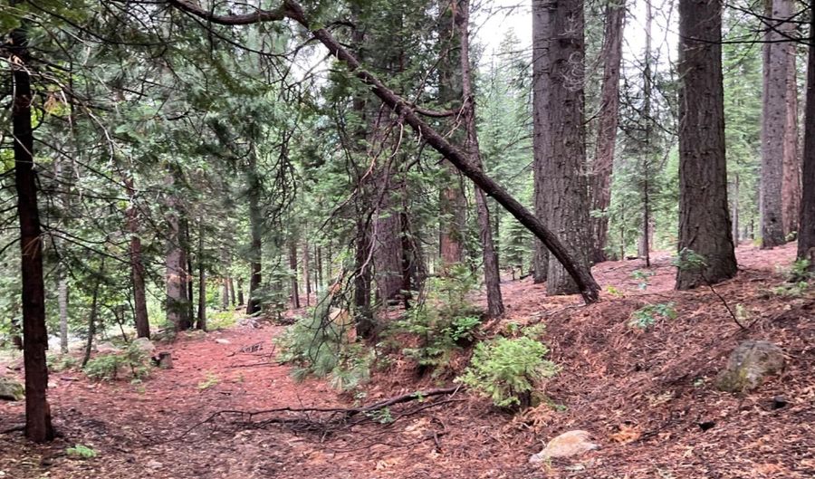 1526 Seminole, Arnold, CA 95223 - 0 Beds, 0 Bath