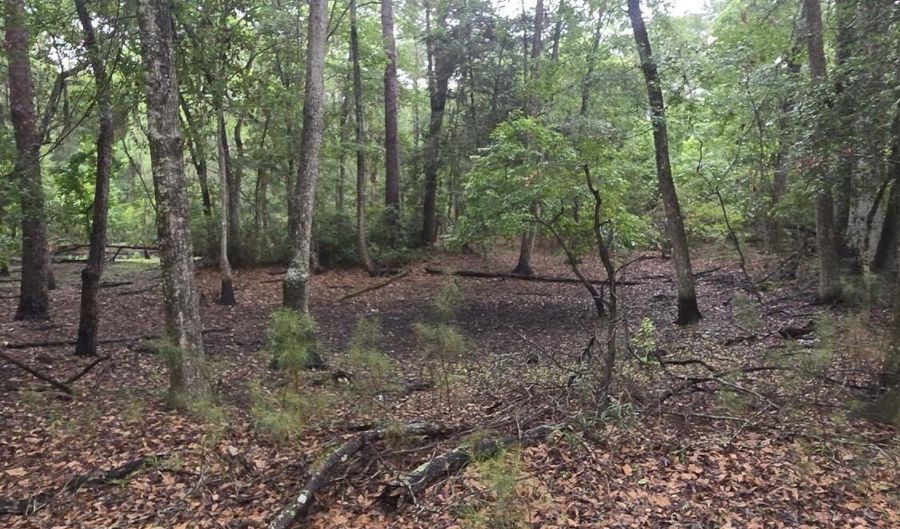 386 Brickyard Point Rd S, Beaufort, SC 29907 - 0 Beds, 0 Bath