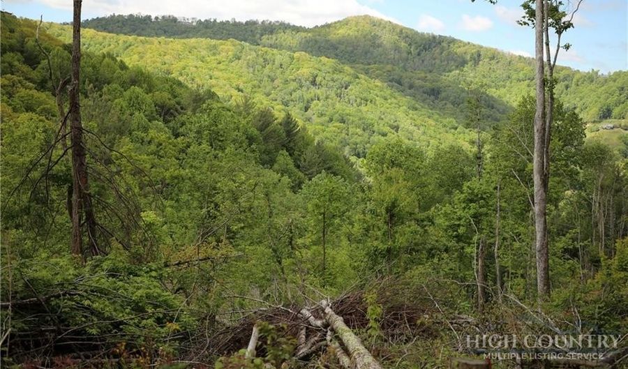 461 Reuben Wooten Rd, Banner Elk, NC 28604 - 2 Beds, 2 Bath