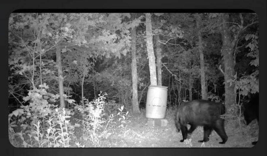 TR 42 43 44 & 45 TRAIL RIDGE ROAD, Albion, OK 74571 - 0 Beds, 0 Bath