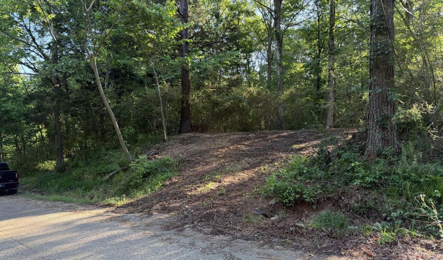 226 Ferrell Rd, Ashland, MS 38603 - 0 Beds, 0 Bath