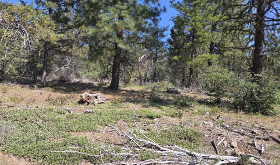Meadow Lark Drive Lot 12, Bonanza, OR 97623 - 0 Beds, 0 Bath