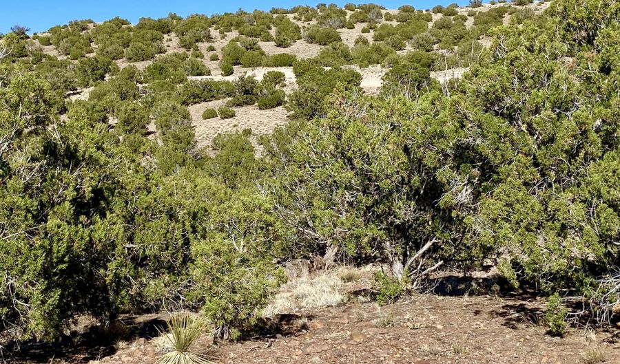 Tbd Co Rd 5062 Lot 1 3.53 Acres, Concho, AZ 85924 - 0 Beds, 0 Bath