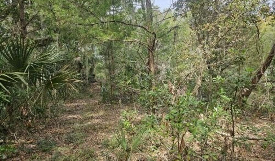 35 Dowitcher Trl, Bald Head Island, NC 28461 - 0 Beds, 0 Bath