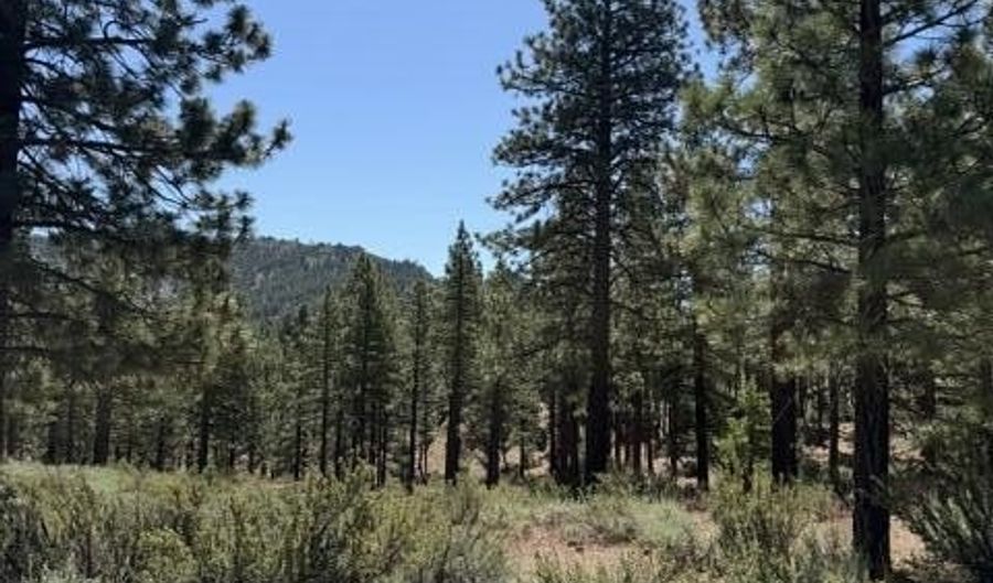 205 Haskell Mill Ct Lot 205, Carson City, NV 89705 - 0 Beds, 0 Bath