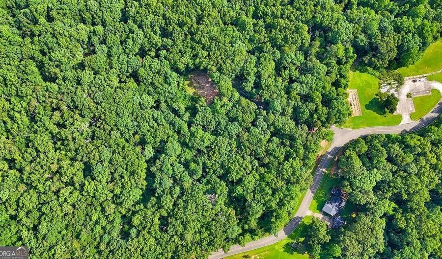 173 Hogan Pond Ln, Ball Ground, GA 30107 - 0 Beds, 0 Bath