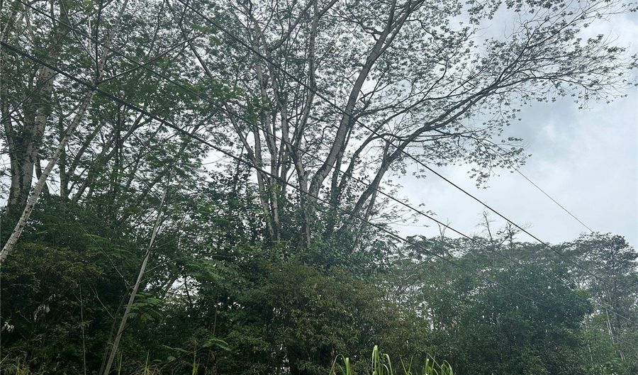 14 Th Ave, Keaau, HI 96749 - 0 Beds, 0 Bath