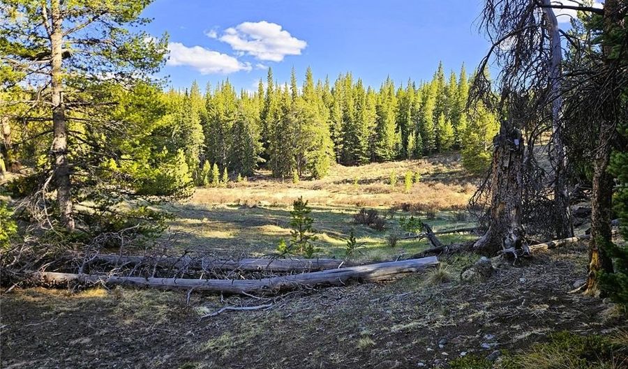 PCS # 7765 & 12057 Rollies Trail lot 0, Alma, CO 80420 - 0 Beds, 0 Bath