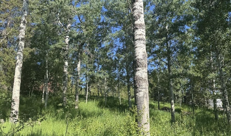 L22 CARIBOU FOREST DRIVE, Alpine, WY 83128 - 0 Beds, 0 Bath