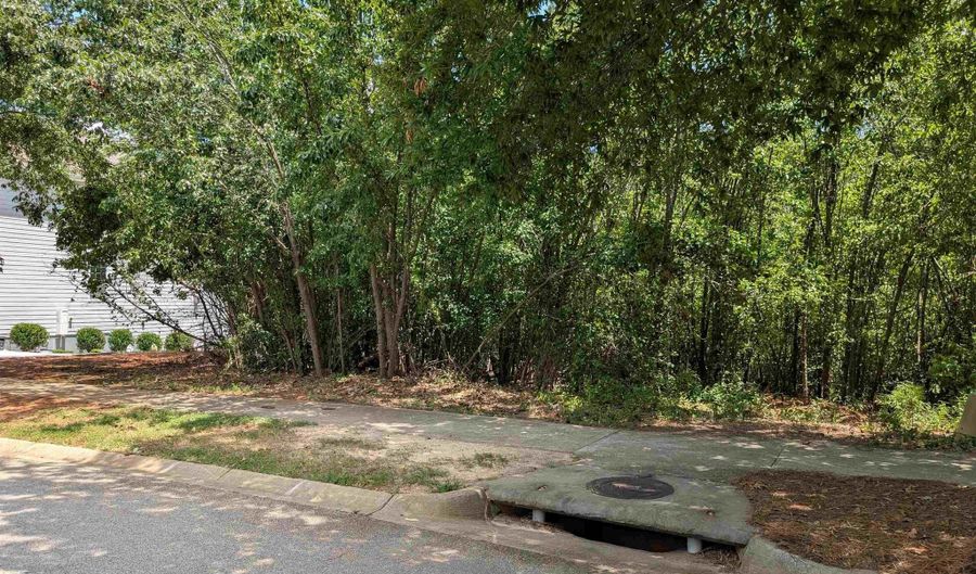 1060 Coogler Crossing Dr, Blythewood, SC 29016 - 0 Beds, 0 Bath