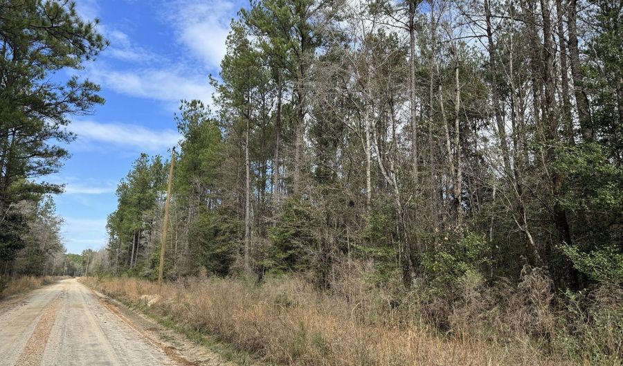 060 Bar M Farm, Andalusia, AL 36421 - 0 Beds, 0 Bath