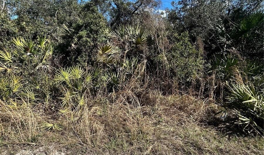 DEER CROSSING ROAD, Altoona, FL 32702 - 0 Beds, 0 Bath