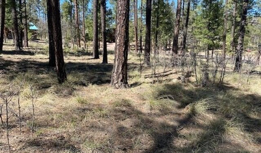 000 COUNTY ROAD 2191 LOT 46, Alpine, AZ 85920 - 0 Beds, 0 Bath