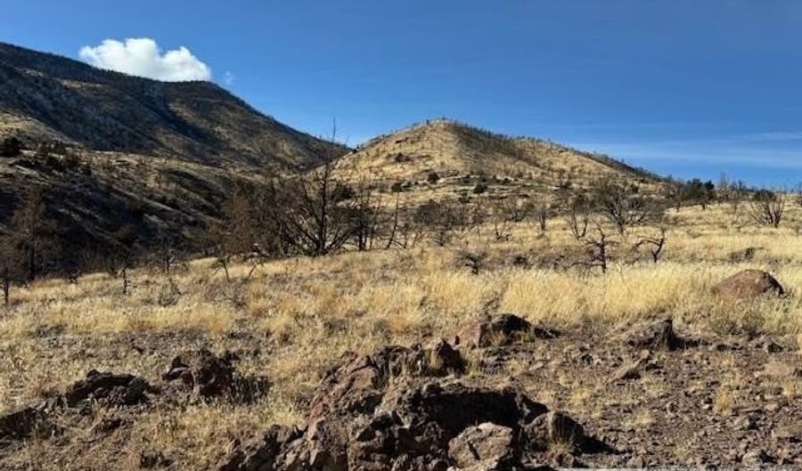 Hwy 395 6 lot 6, Gardnerville, NV 89410 - 0 Beds, 0 Bath