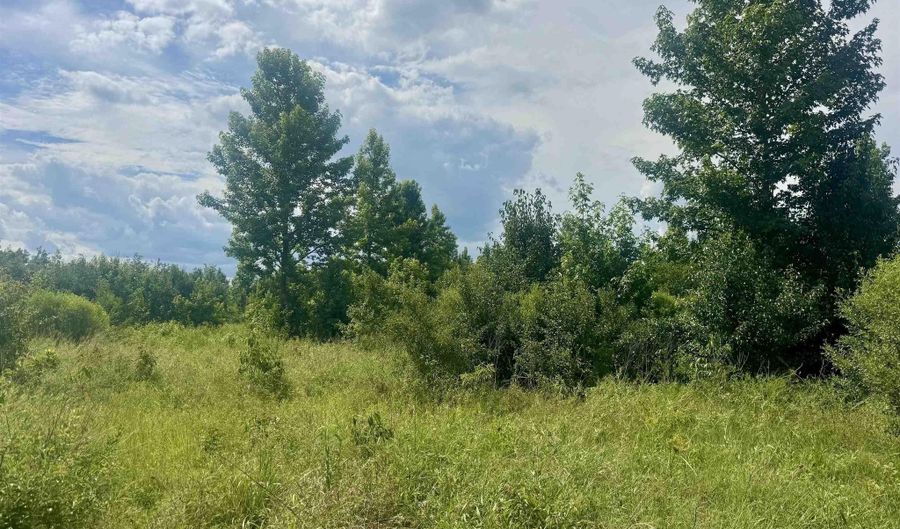 238 Lloyd Henderson Rd, Beebe, AR 72012 - 0 Beds, 0 Bath