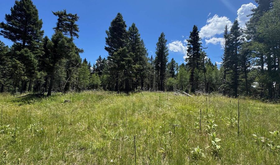 Lot 73 Calle de los Indios, Angel Fire, NM 87710 - 0 Beds, 0 Bath