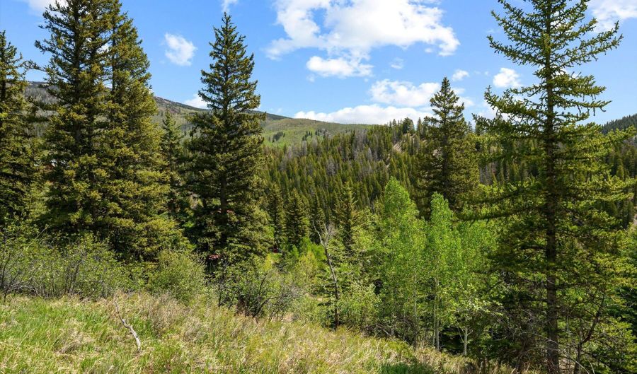 1239 Mclaughlin Ln, Basalt, CO 81621 - 0 Beds, 0 Bath