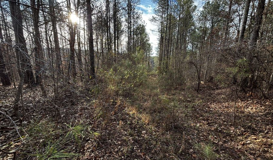 0 County Road 93, Bankston, AL 35554 - 0 Beds, 0 Bath