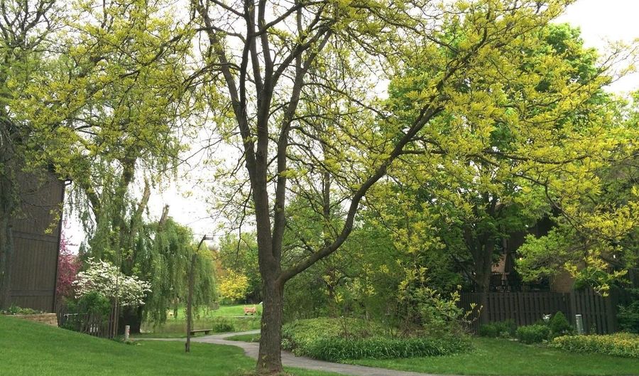 2547 Meade Ct, Ann Arbor, MI 48105 - 3 Beds, 2 Bath