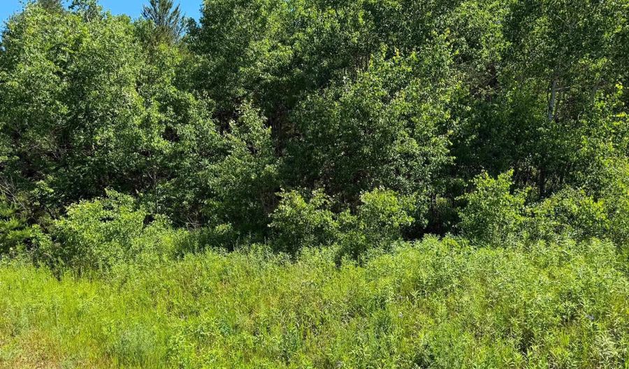 2 5 Acres County Road C, Arkdale, WI 54613 - 0 Beds, 0 Bath