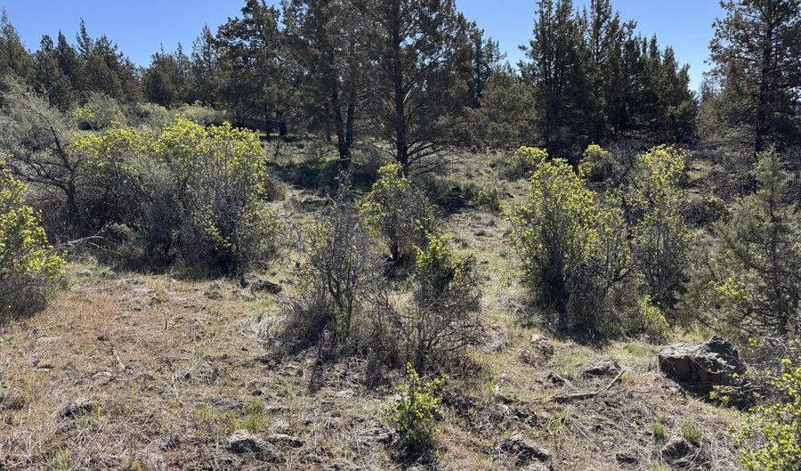 Bluebill Lane Lot 3, Bonanza, OR 97623 - 0 Beds, 0 Bath