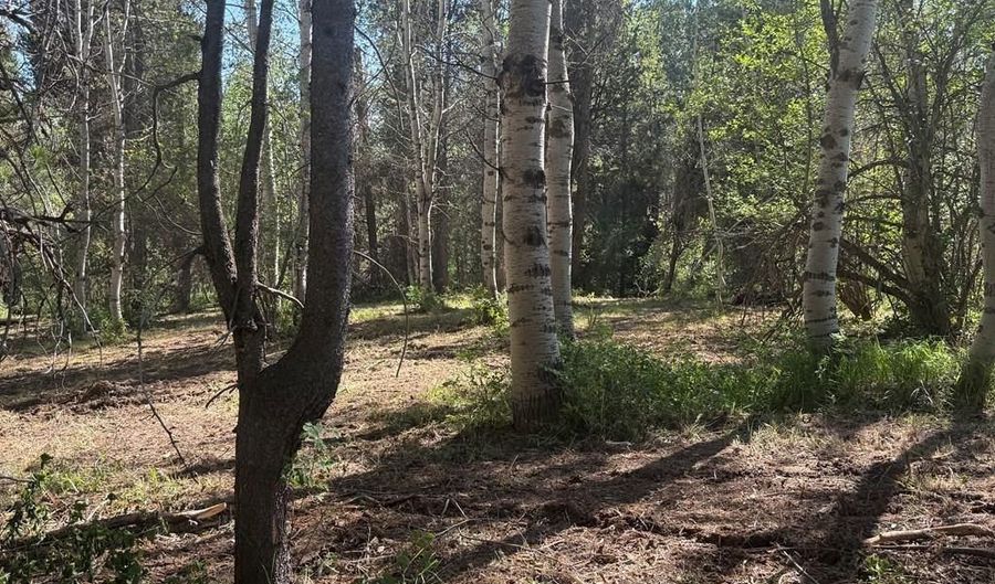 4376 Granite Rdg, Ashton, ID 83420 - 0 Beds, 0 Bath
