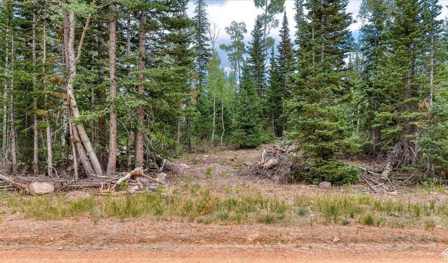 384 N 275 E 61, Brian Head, UT 84719 - 0 Beds, 0 Bath
