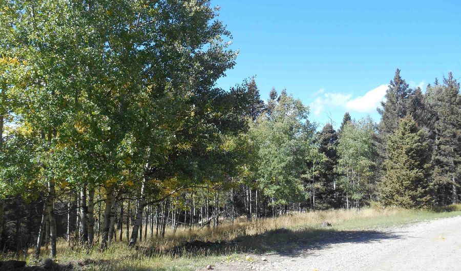 Lot 1287 El Camino Real, Angel Fire, NM 87710 - 0 Beds, 0 Bath