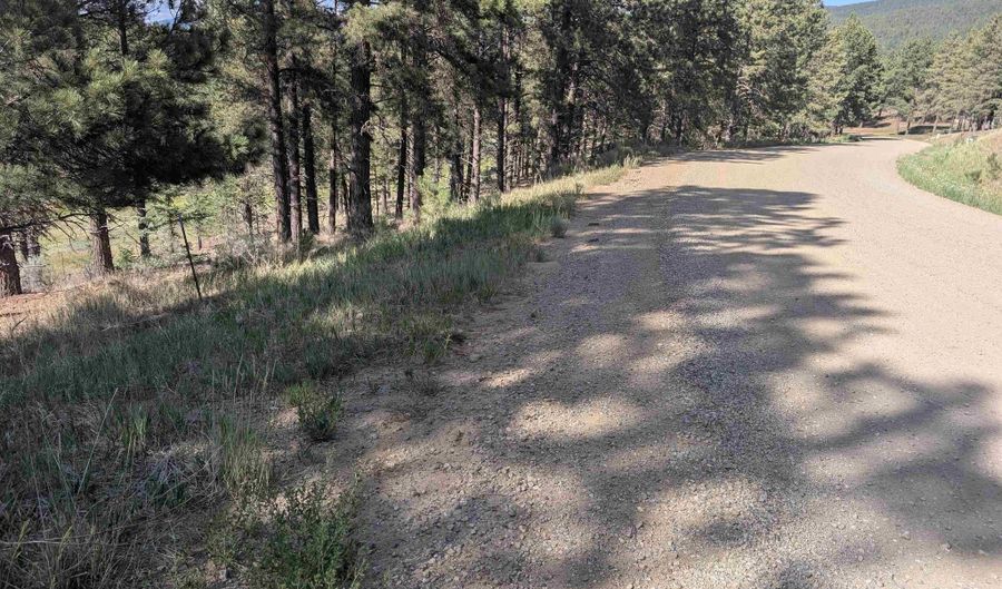 Valle Grande Trail, Angel Fire, NM 87710 - 0 Beds, 0 Bath