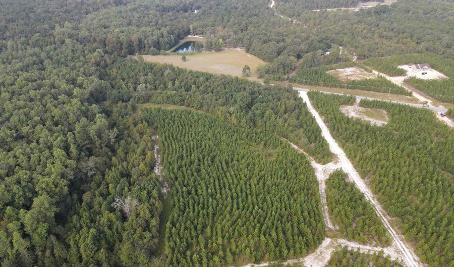 Tract 11 Mt Zion Road 11, Camden, SC 29020 - 0 Beds, 0 Bath