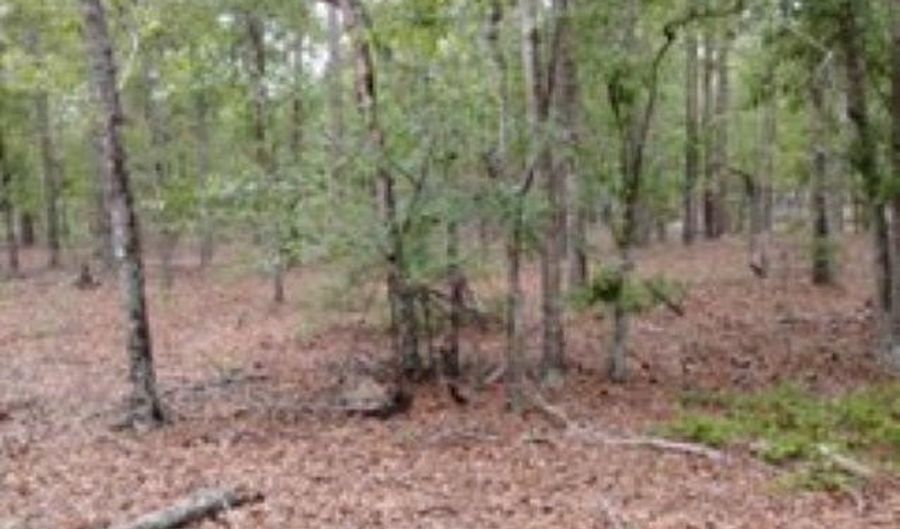 Double Pond Road, Blackville, SC 29817 - 0 Beds, 0 Bath