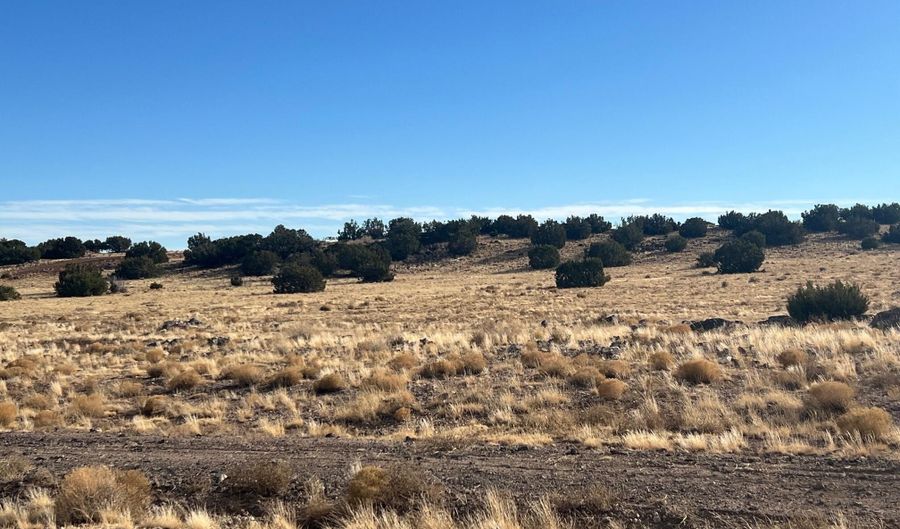 CR5139, Concho, AZ 85924 - 0 Beds, 0 Bath