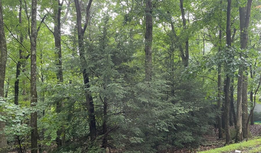 311 Woodland Road & Deerfoot Ln, Albrightsville, PA 18210 - 0 Beds, 0 Bath