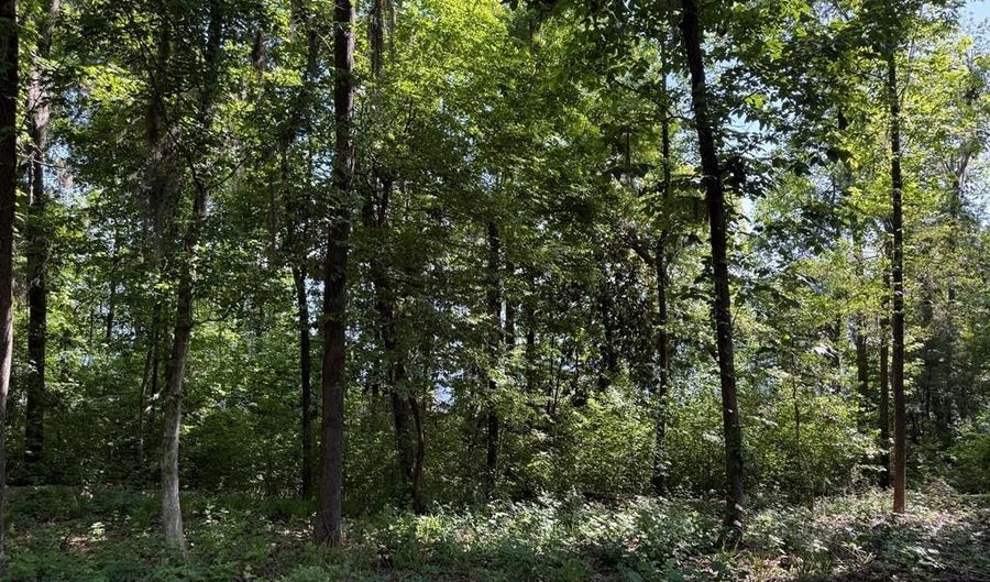 Lakeshore Drive lot 3, Bainbridge, GA 39819 - 0 Beds, 0 Bath