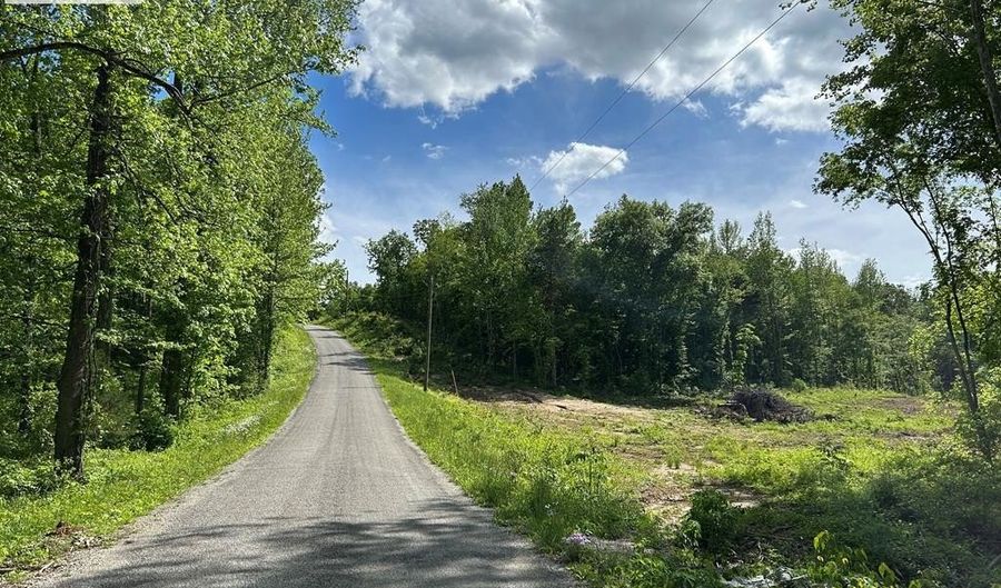 MT ZION RD, Big Sandy, TN 38221 - 0 Beds, 0 Bath