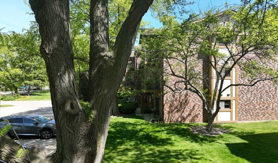 811 S Dwyer Ave E, Arlington Heights, IL 60005 - 2 Beds, 1 Bath