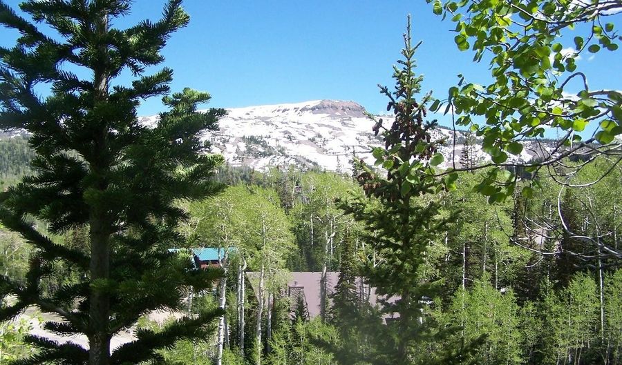 199 W Hunter Ridge Dr, Brian Head, UT 84719 - 0 Beds, 0 Bath