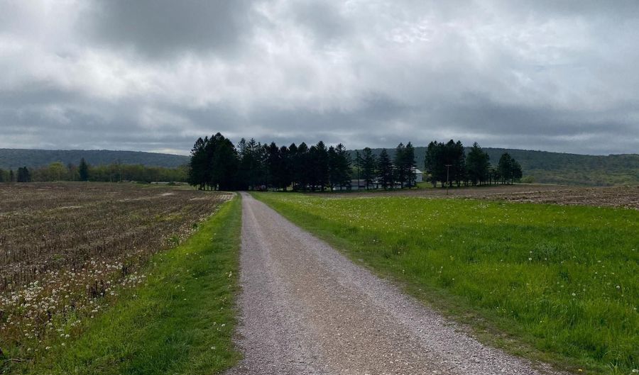 220 DIESEL SCHOOL Rd, Accident, MD 21520 - 3 Beds, 2 Bath